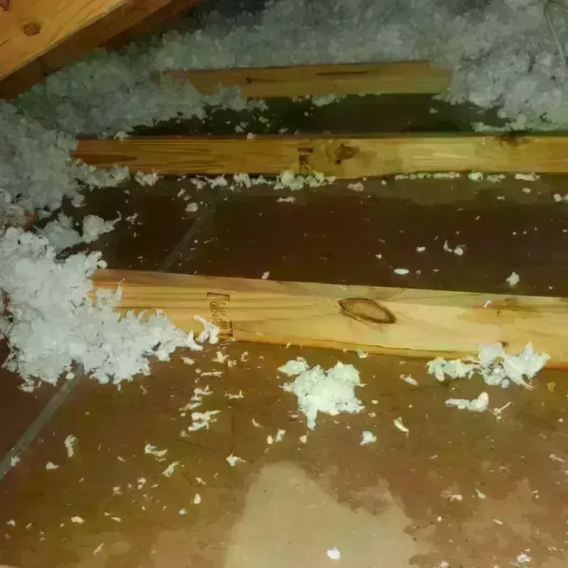 Attic Water Damage in Pine Grove, CA